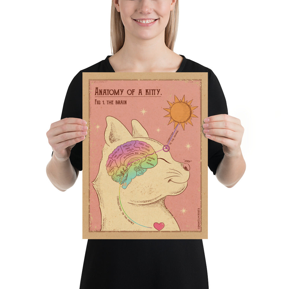 Anatomy of a Kitty Poster