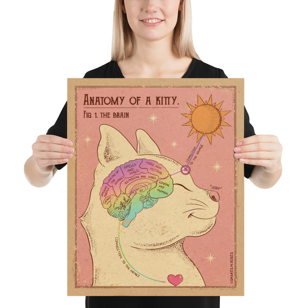 Anatomy of a Kitty Poster