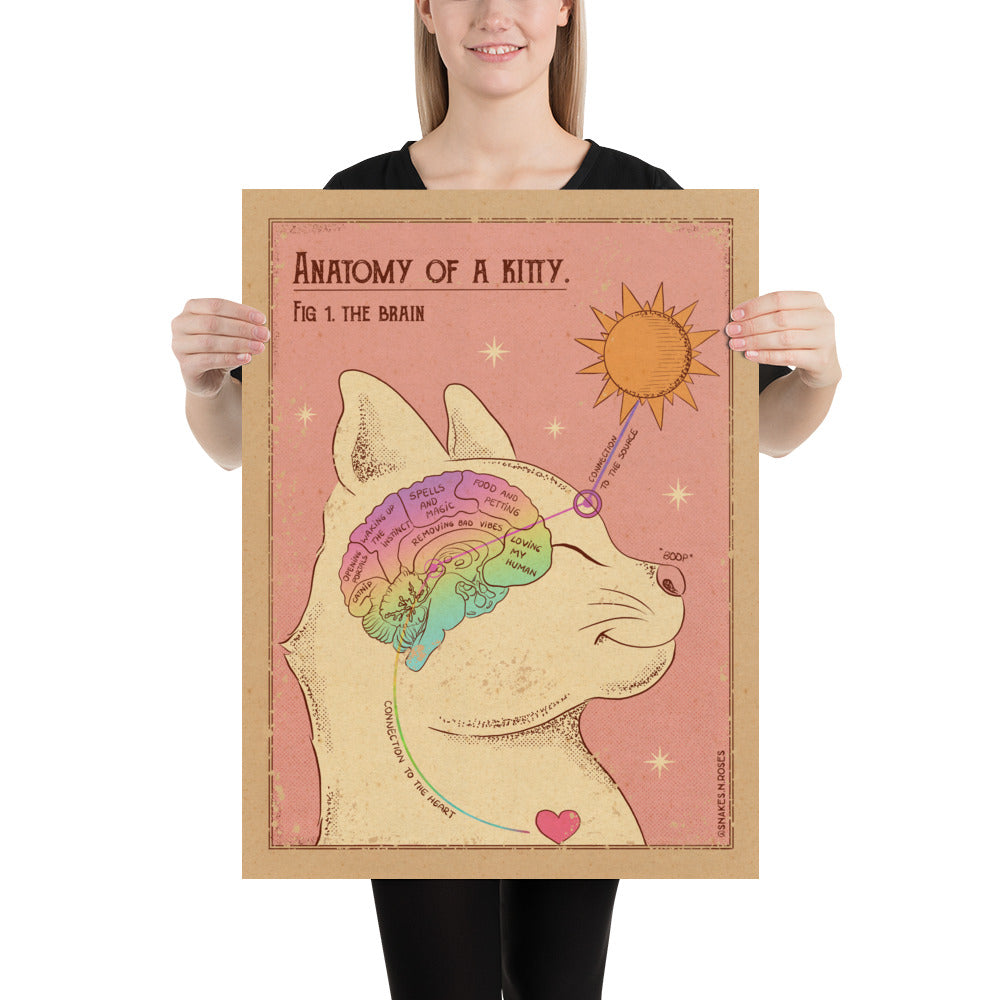 Anatomy of a Kitty Poster